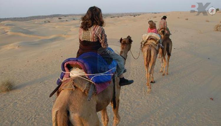Cholistan Jeep and Camel Safari