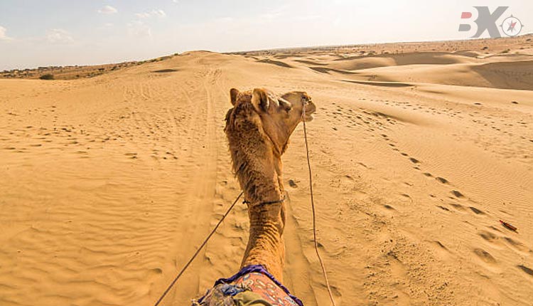 Trip To Thar Desert In Sindh